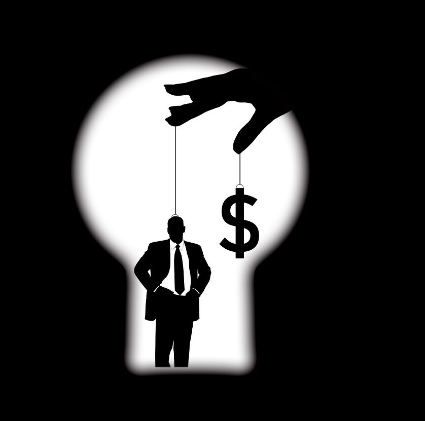 puppet, education, person